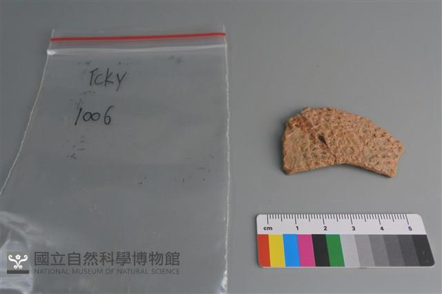 陶片藏品圖，第1張