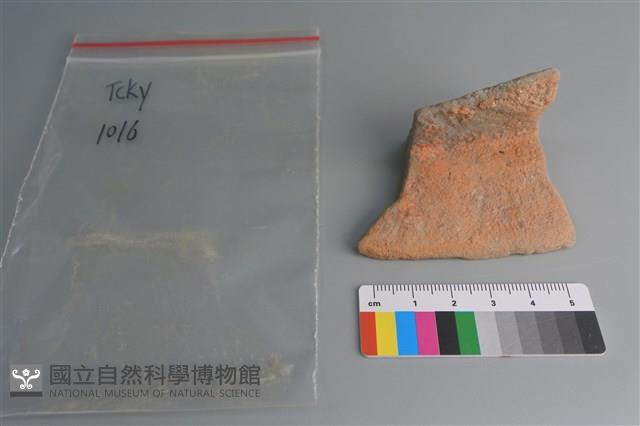 陶片藏品圖，第1張