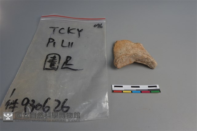 陶片藏品圖，第1張