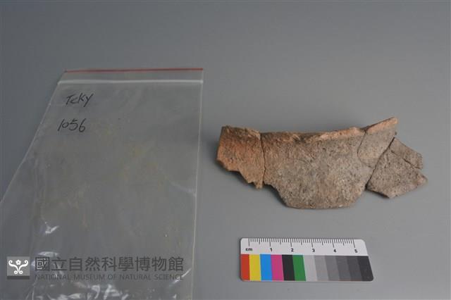 陶片藏品圖，第1張