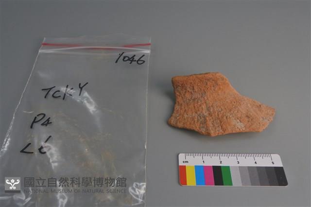 陶片藏品圖，第1張