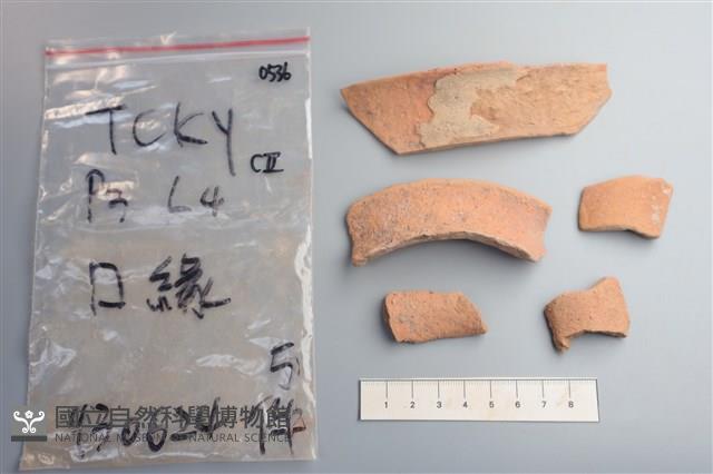 陶片藏品圖，第1張