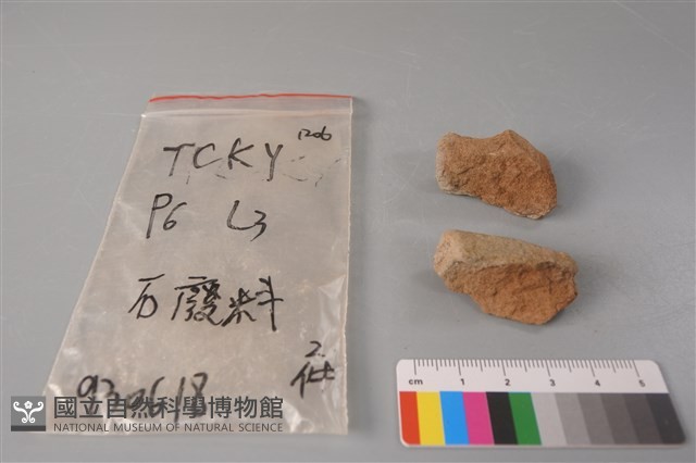 帶加工痕石材藏品圖，第1張