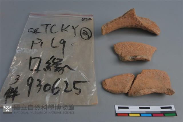 陶片藏品圖，第1張