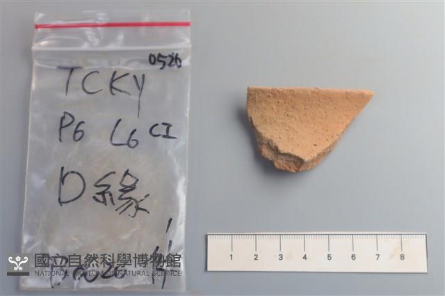 陶片藏品圖，第1張