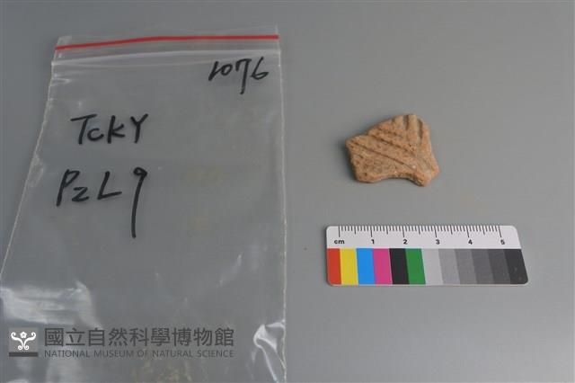 陶片藏品圖，第1張