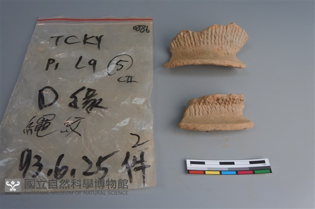 陶片藏品圖，第1張