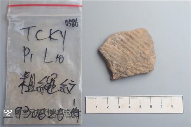 陶片藏品圖，第1張