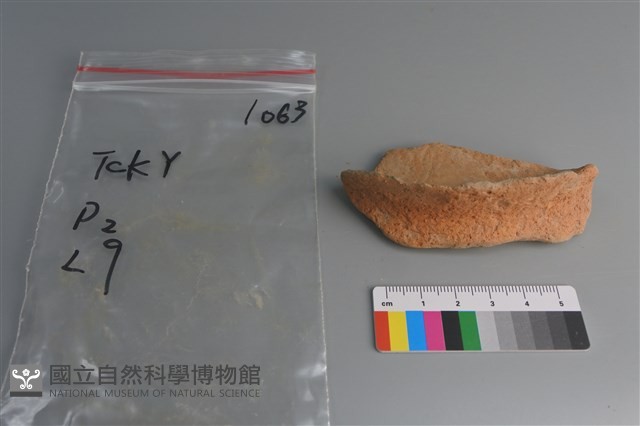 陶片藏品圖，第1張