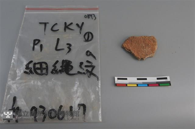 陶片藏品圖，第1張