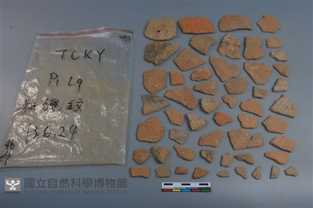 陶片藏品圖，第1張