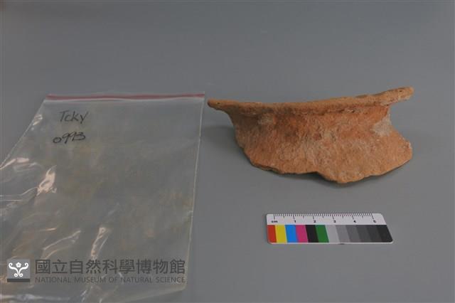 陶片藏品圖，第1張