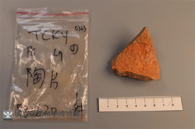 陶片藏品圖，第1張