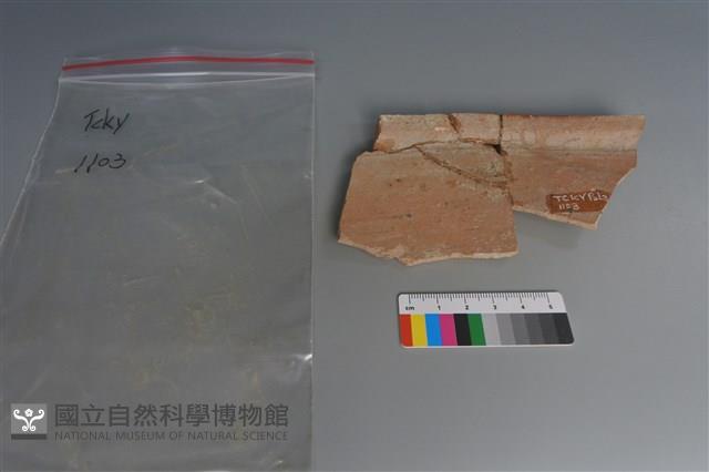 陶片藏品圖，第1張