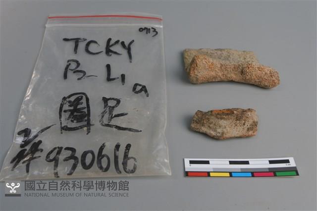 陶片藏品圖，第1張