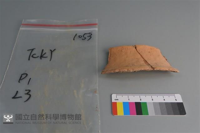 陶片藏品圖，第1張