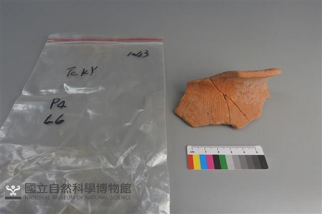 陶片藏品圖，第1張