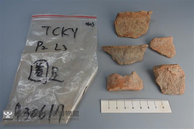 陶片藏品圖，第1張