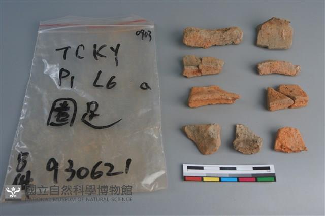 陶片藏品圖，第1張