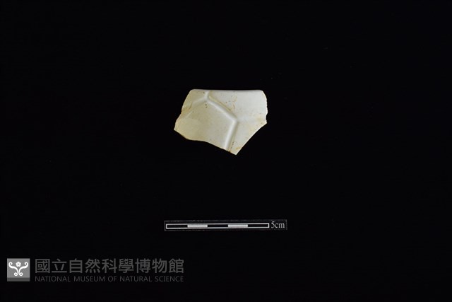 瓷片藏品圖，第1張