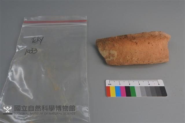 陶片藏品圖，第1張