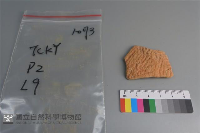 陶片藏品圖，第1張