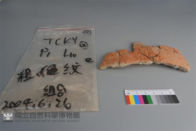 陶片藏品圖，第1張