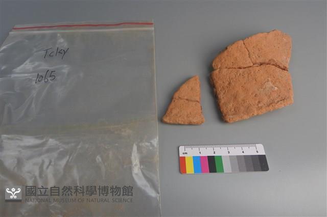 陶片藏品圖，第1張