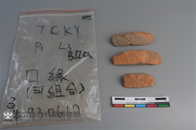 陶片藏品圖，第1張