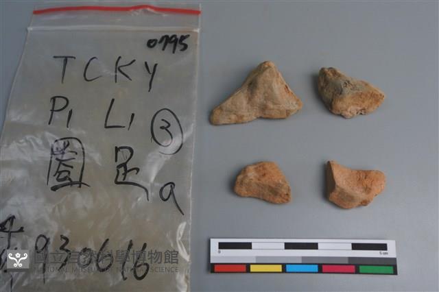 陶片藏品圖，第1張