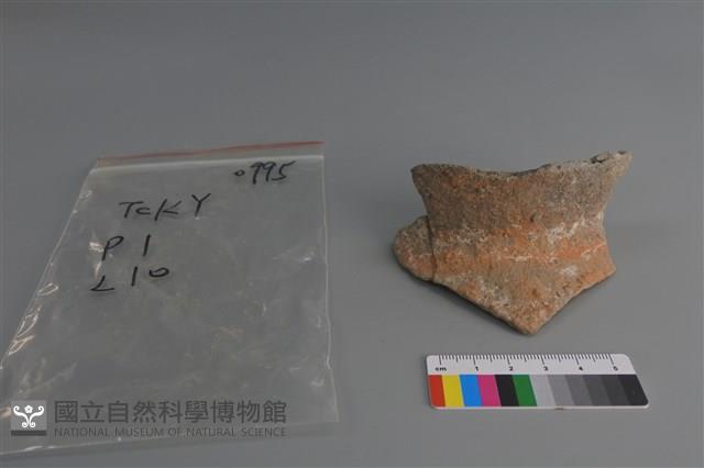 陶片藏品圖，第1張