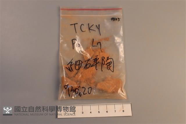 陶片藏品圖，第1張
