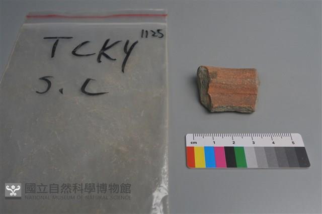 陶片藏品圖，第1張