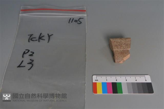 陶片藏品圖，第1張