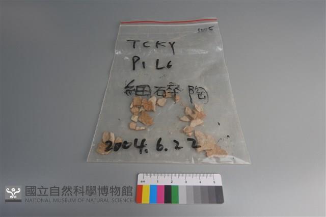 陶片藏品圖，第1張