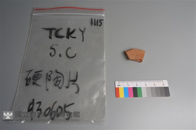 陶片藏品圖，第1張