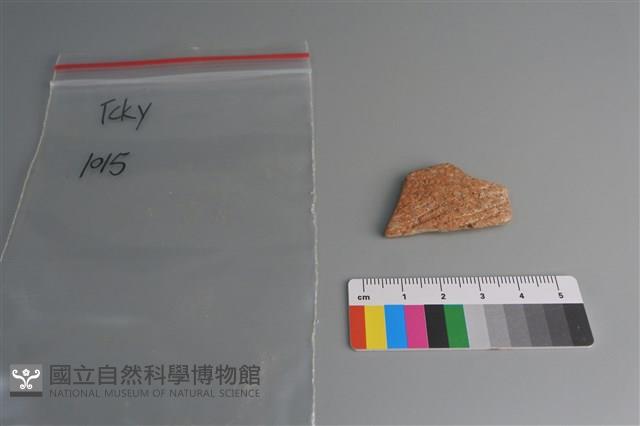 陶片藏品圖，第1張