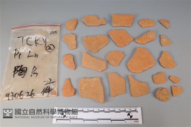 陶片藏品圖，第1張