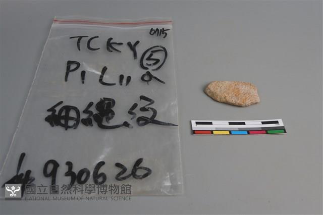 陶片藏品圖，第1張