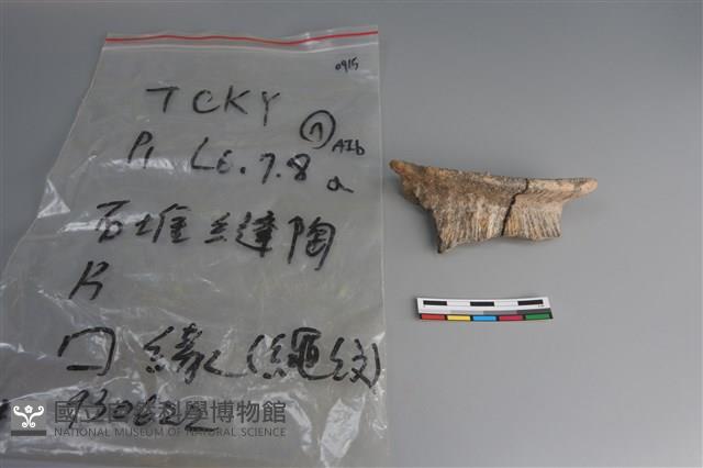 陶片藏品圖，第1張