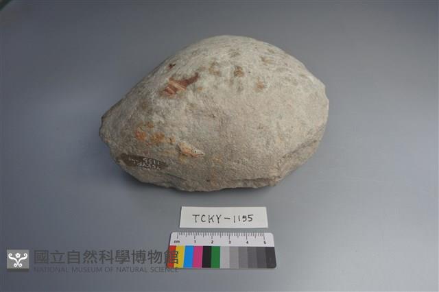 石材藏品圖，第1張