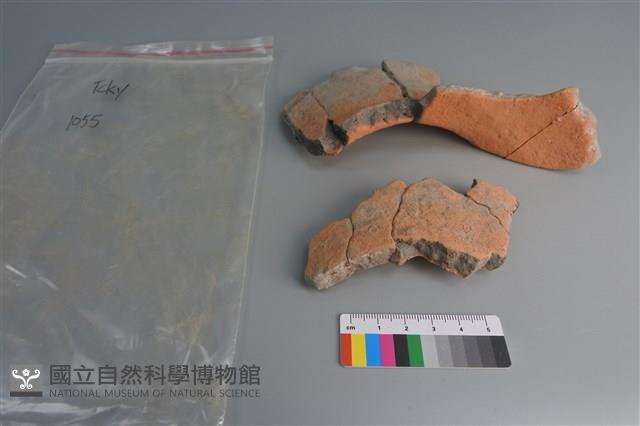 陶片藏品圖，第1張