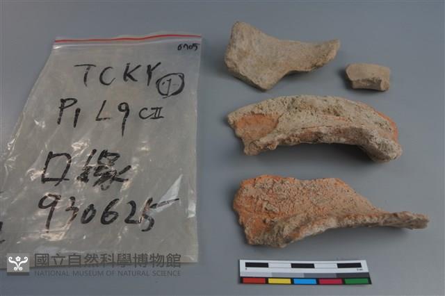 陶片藏品圖，第1張