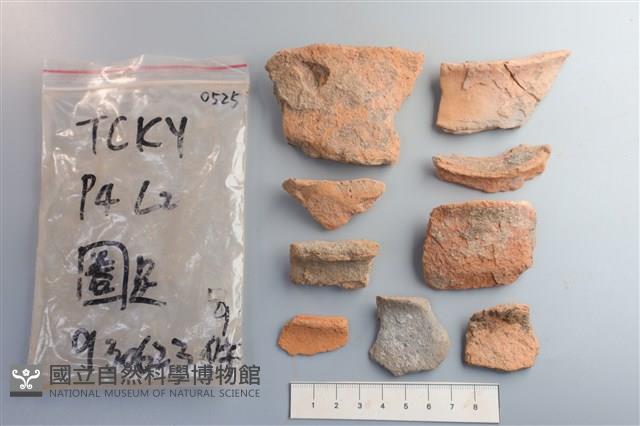 陶片藏品圖，第1張