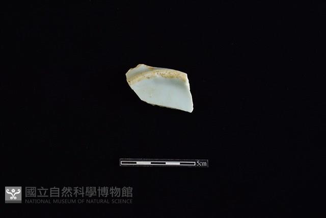 盤藏品圖，第1張