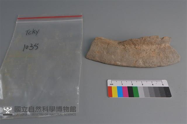 連杯形器藏品圖，第1張