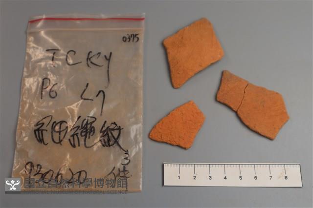 陶片藏品圖，第1張