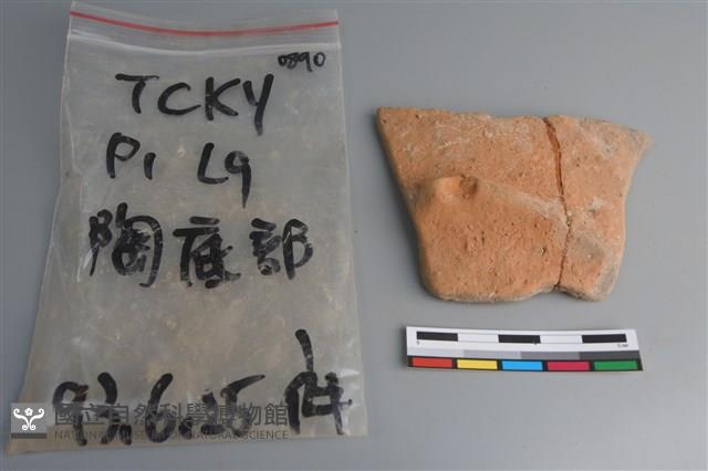 陶片藏品圖，第1張