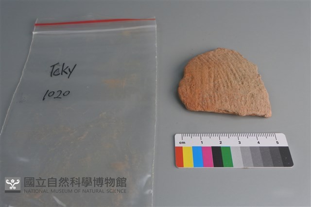 陶片藏品圖，第1張