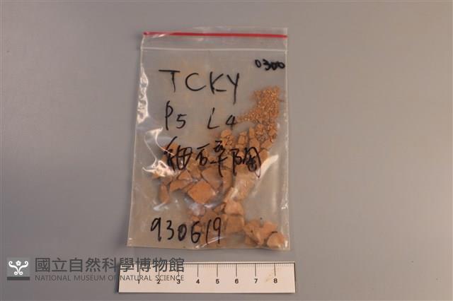 陶片藏品圖，第1張